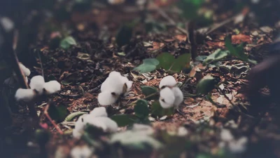 Nachhaltige Mode für alle.