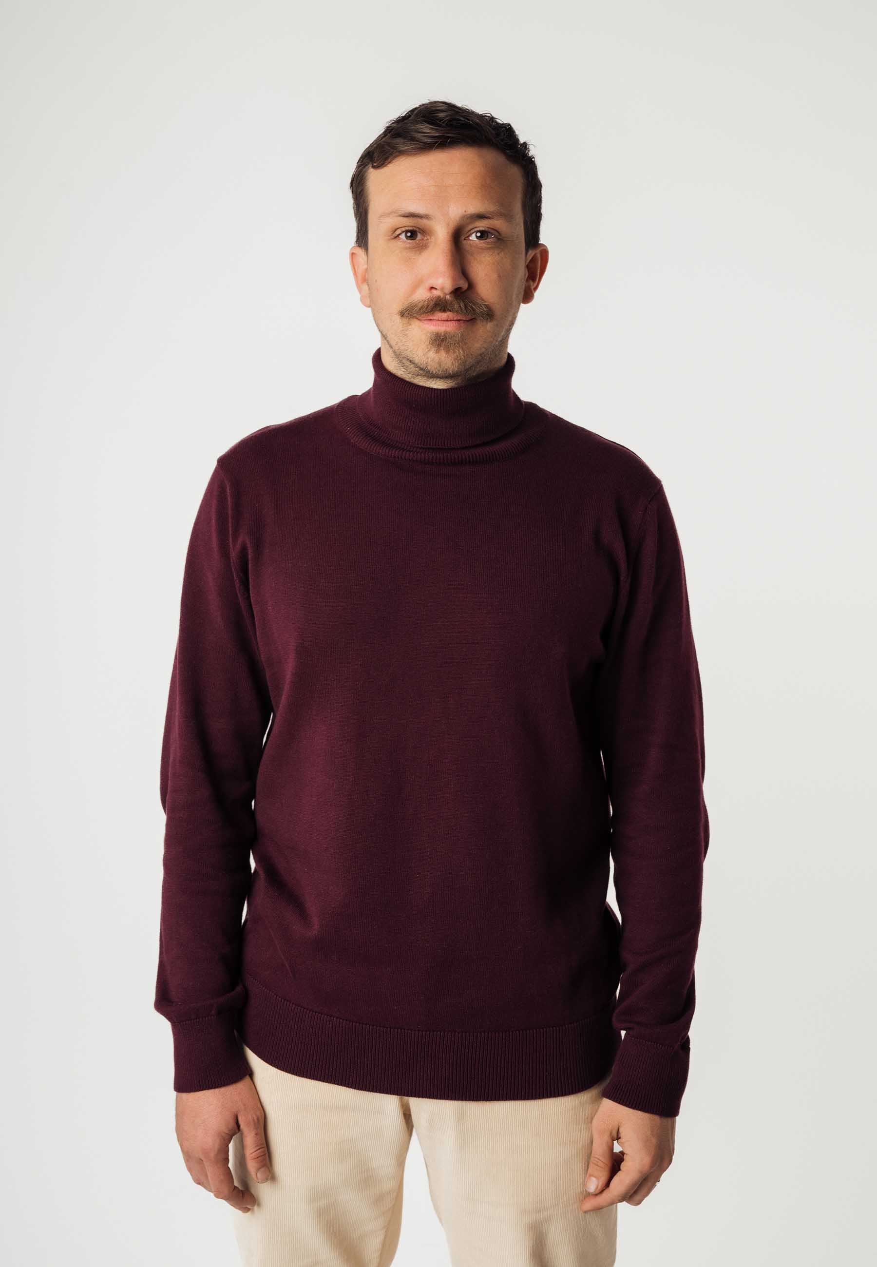 Feinstrick Rollkragenpullover Style KANJA - Image 25