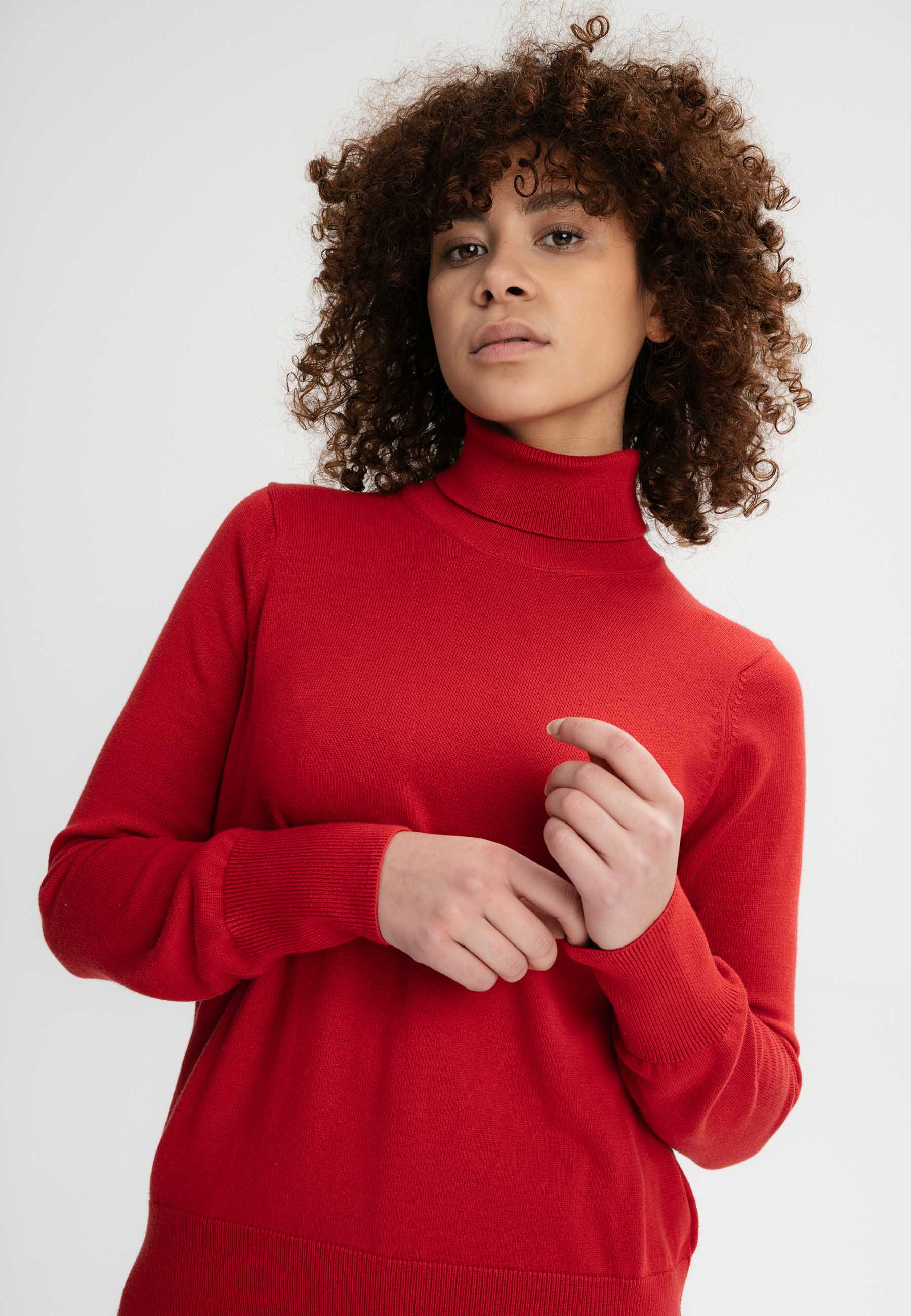 Feinstrick Rollkragenpullover Style MAYURA - Image 71
